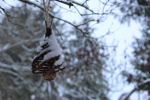 Impressionen zum Kurs