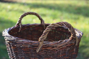 Impressionen zum Kurs