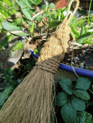 Impressionen zum Kurs