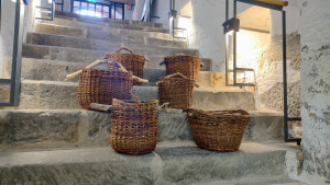 Impressionen zum Kurs